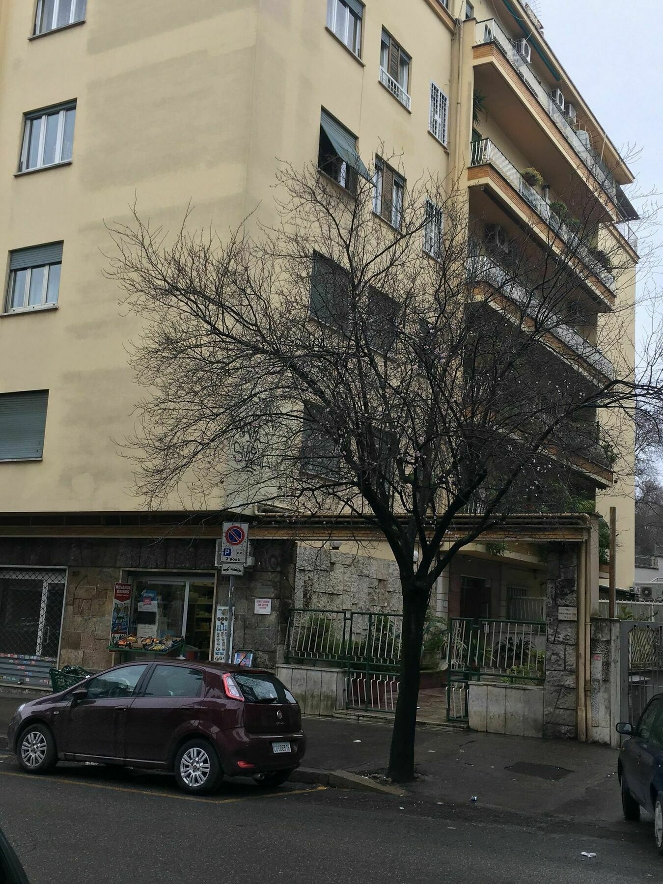 Domum Vaticani Roma Dış mekan fotoğraf